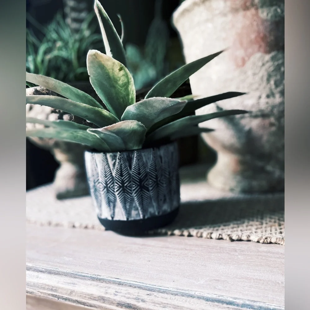Hand Painted Clay Pot Black and White Feather Pattern - 4.5 Inch